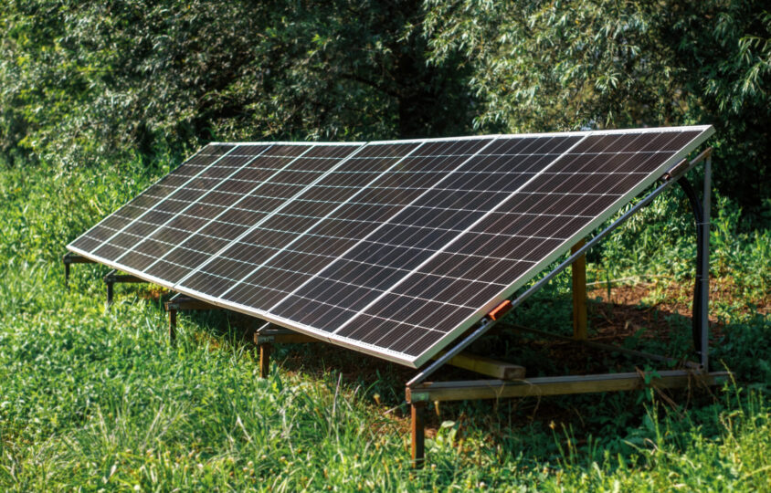 solar panels ground nature greenery around